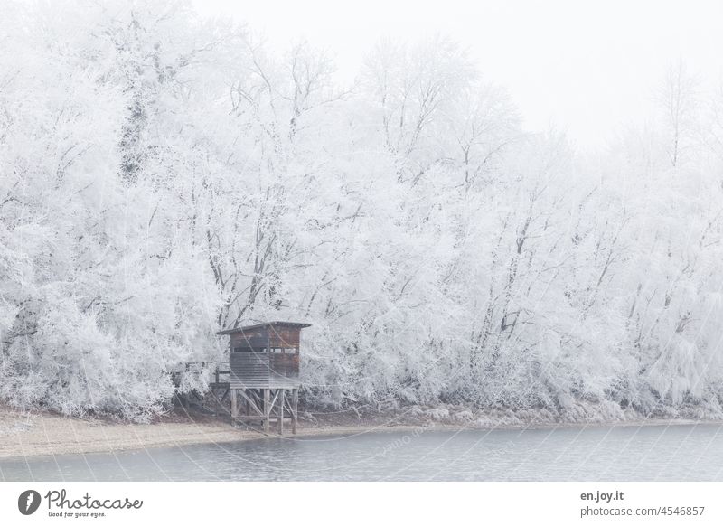 Seeufer im Winter mit Jägerhäuschen kalt frost Eis kälte Wald Ufer see seeufer jägerhütte Jägerstand Jägerhochsitz Hütte Bäume Schnee gefroren weiß frostig