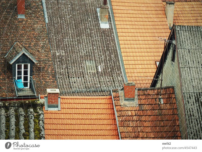 Alte Dächer Altstadt Häuser historische Altstadt Architektur Gebäude Dachziegel Fenster Dachfenster alt Haus Stadtzentrum Dächerlandschaft Häusermeer Gewirr