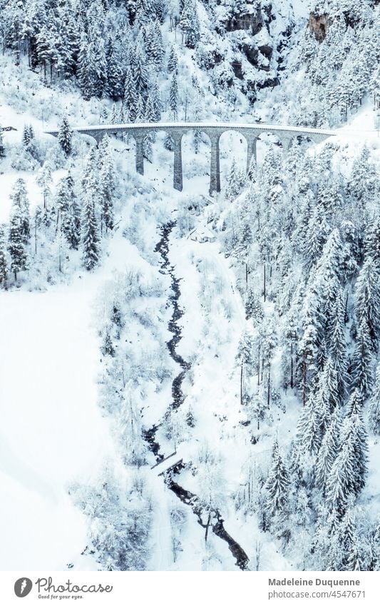 Schmittentobel-Viadukt Eisenbahn Brücke Albulabahn Winter Schafe UNESCO-Weltkulturerbe Kalkstein Rhätische Bahn Albulastrecke graubünden schweiz Bogenbrücke