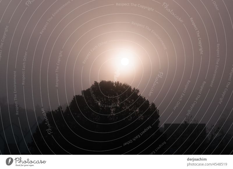 Morgensonne über den Hügeln. Mit rechts davor stehenden Haus. Landschaft Umwelt Außenaufnahme Farbfoto Gegenlicht Sonnenaufgang Licht Sonnenlicht Natur