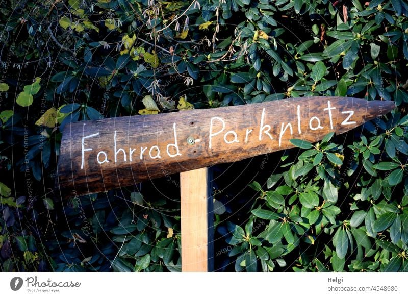 handgefertigtes Holz-Hinweisschild auf Fahrrad-Parkplatz individuell Pflanze Holzschild Licht Schatten Sonnenlicht Rhododendron Schilder & Markierungen