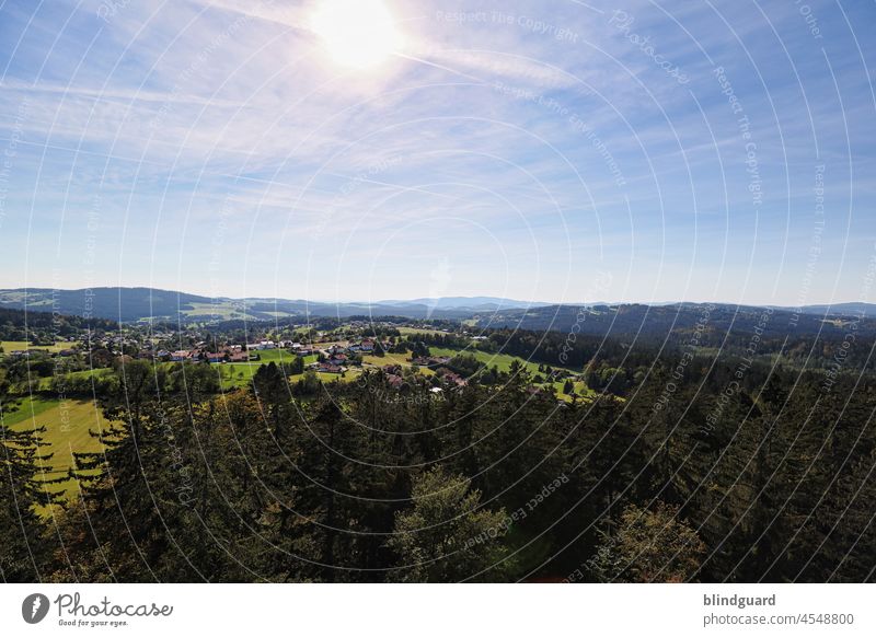 Bayowarische Hügln un Bäum mit n blaun Himml Bayerischer Wald Berge Gebirge Mittelgebirge Urlaub Reisen Ausblick Fernweh Landschaft Berge u. Gebirge