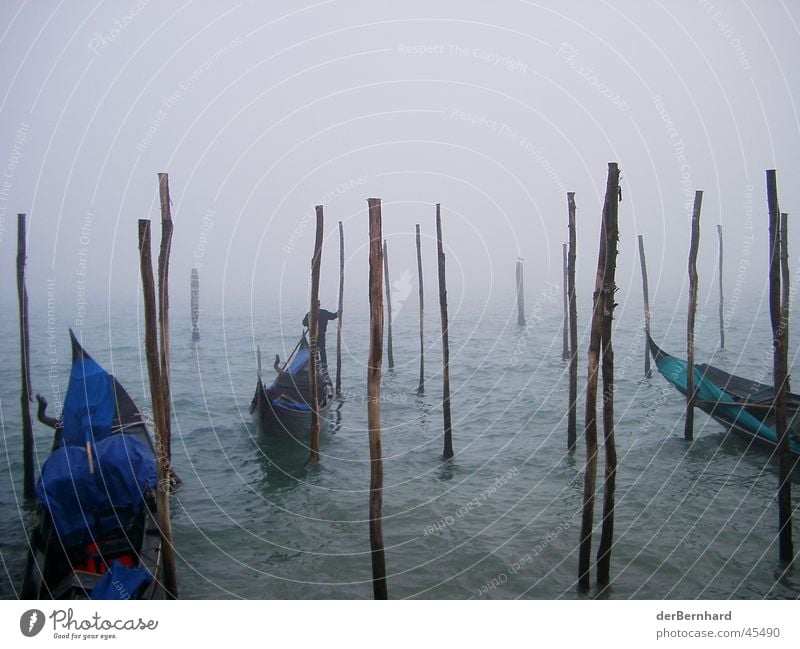 Venedig im Nebel Meer Europa Gondel (Boot) Dunst Vor hellem Hintergrund Holzpfahl Anlegestelle Menschenleer Textfreiraum oben