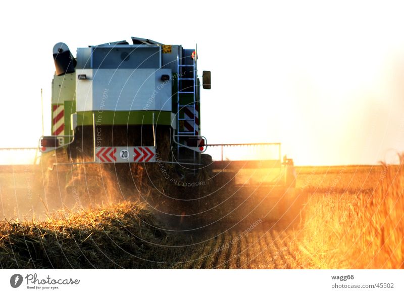 Harvest Time Licht weiß felden mährdrescher drusch Ernte Einsatz Getreide sonneuntergang claas