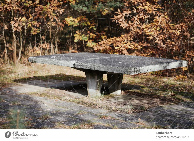 Tischtennisplatte aus Beton in Herbstlandschaft spielen Sport verlassen Natur Brutalismus Freizeit & Hobby Ballsport