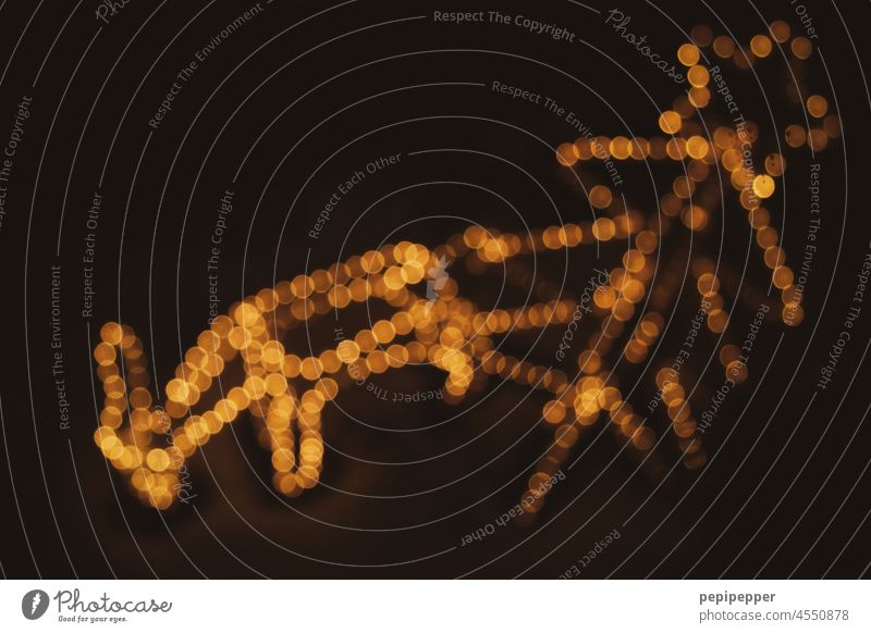 Lichterkette mit Rehkitz und Weihnachtsbaum im dunkeln Lichterketten Weihnachten & Advent Weihnachtsdekoration Weihnachtsbeleuchtung leuchten Feste & Feiern