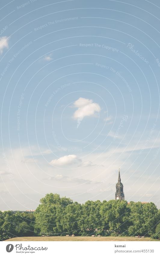 Sommerblick Umwelt Natur Landschaft Pflanze Himmel Wolken Schönes Wetter Wärme Baum Park Dresden Neustadt Stadt Stadtzentrum Altstadt Kirche Kirchturm