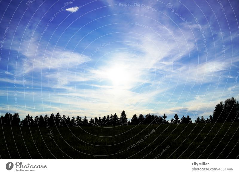 Landschaft im Allgäu am Abend. Silhouette von Bäumen vor blauem Himmel. Wald Abendstimmung Wolken blauer Himmel Natur Dämmerung Abenddämmerung Sonnenuntergang