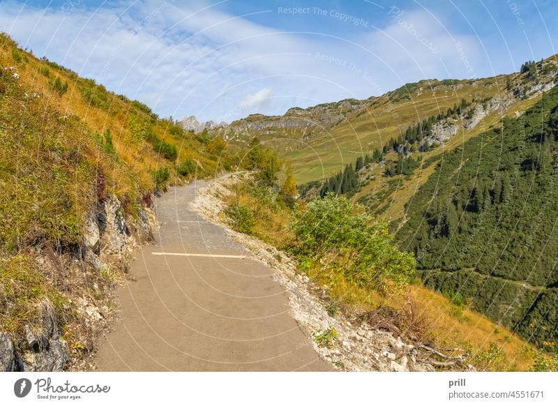 Rund um Warth in Österreich Vorarlberg WARTE Bregenz Alpen alpin Berge u. Gebirge Hügel Sommer sonnig Berghang Baum bewachsen Landstraße Strauch Weg