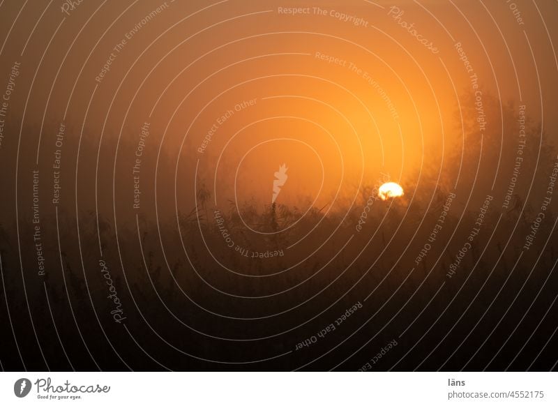 UT Teufelsmoor l Sonnenaufgang Moor Morgen Morgendämmerung Nebel Sonnenlicht Natur Osterholz-Scharmbeck Deutschland Menschenleer mystisch Landschaft