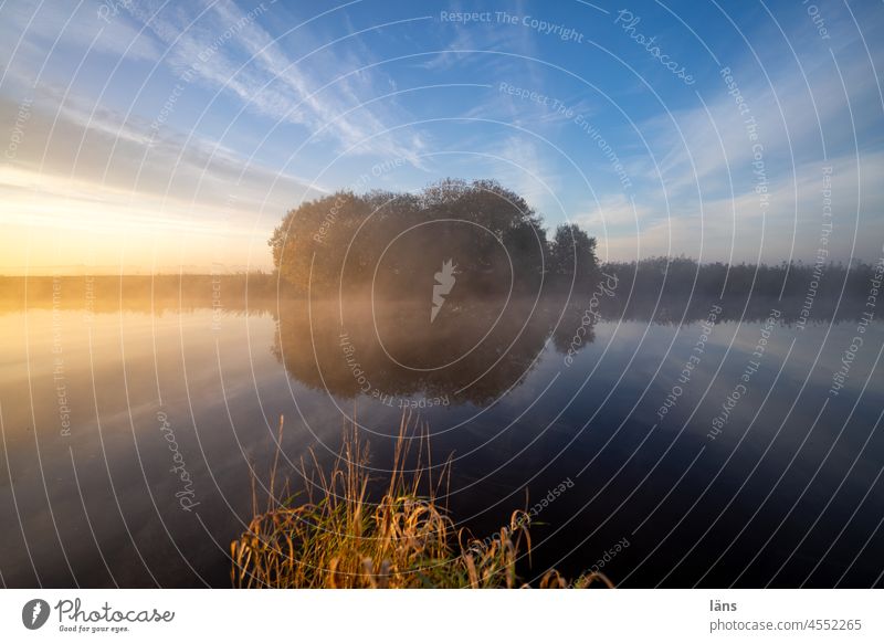 Teufelsmoor l Sonnenaufgang Hamme Moor Fluss Morgendämmerung Spiegelung im Wasser Nebel Sonnenlicht Menschenleer Textfreiraum oben ruhig mystisch Baum