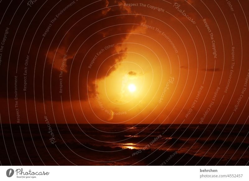 was uns durchflutet! licht, wärme, hoffnung, träume! erfüllt uns mit mehr! Gegenlicht Sonnenlicht Sonnenuntergang Dämmerung Sonnenaufgang Morgendämmerung