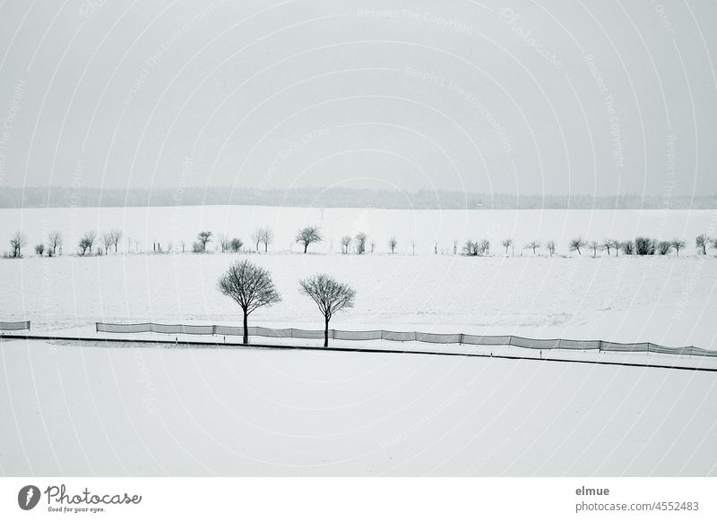 offene, schneebedeckte Winterlandschaft mit Straße, Schneezaun und einzelnen Bäumen / Winter Jahreszeit Winterzeit Ort der Stille ruhig weiß Winterstimmung