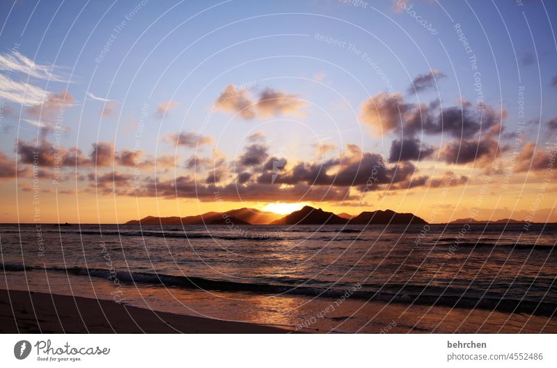 sonne und mee(h)r Wasser Ferien & Urlaub & Reisen Tourismus Ausflug Abenteuer Ferne Freiheit Landschaft Hügel Sonne Strand Küste Wellen Praslin genießen