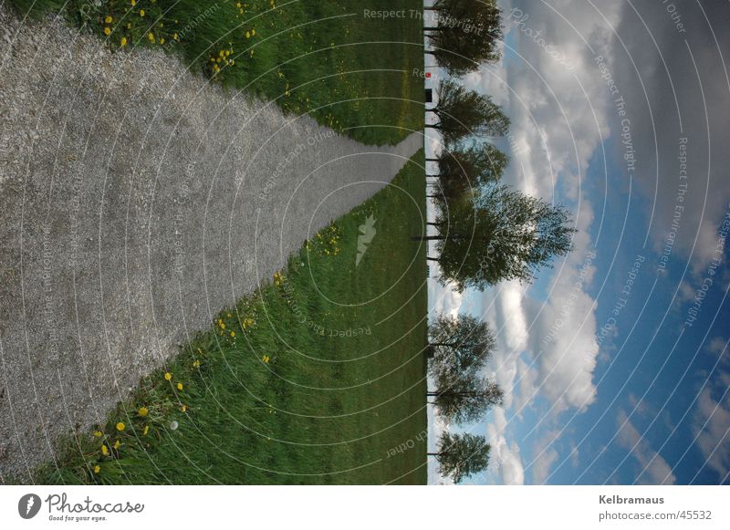 way up Wiese Baum Wolkenhimmel Hochformat Sommer Wege & Pfade Ferne Linie