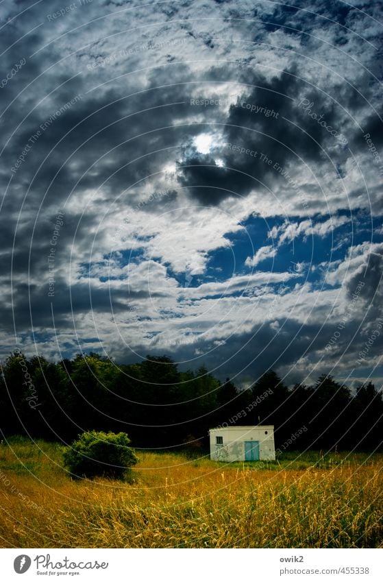 Stromkiste Technik & Technologie Energiewirtschaft Transformator Umwelt Natur Landschaft Pflanze Himmel Wolken Klima Wetter Schönes Wetter Baum Gras Sträucher