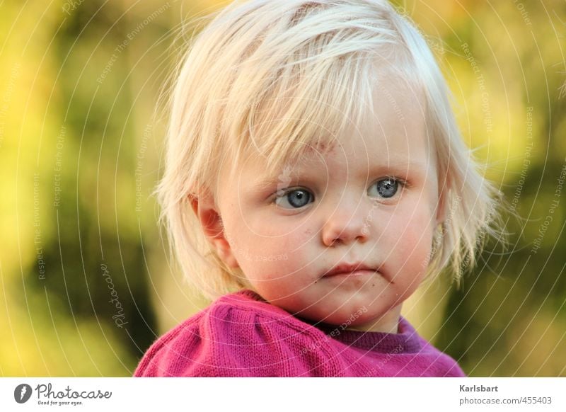 Tag Träumchen Gesundheit Kinderspiel Kindererziehung Bildung Kindergarten lernen Mensch Kleinkind Mädchen Kindheit Kopf 1 1-3 Jahre Natur Sommer Herbst