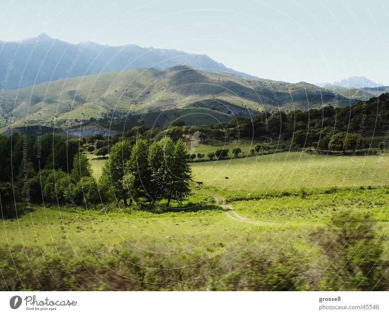 Grüne Berglandschaft Wiese Korsika ruhig Baum Berge u. Gebirge Berglandschft Ferne