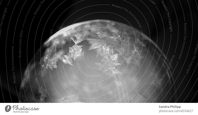 Eine gefrorene Seifenblase vor dunklem Hintergrund Eiskristalle Frost kalt Winter Natur Außenaufnahme Menschenleer Makroaufnahme frostig Detailaufnahme