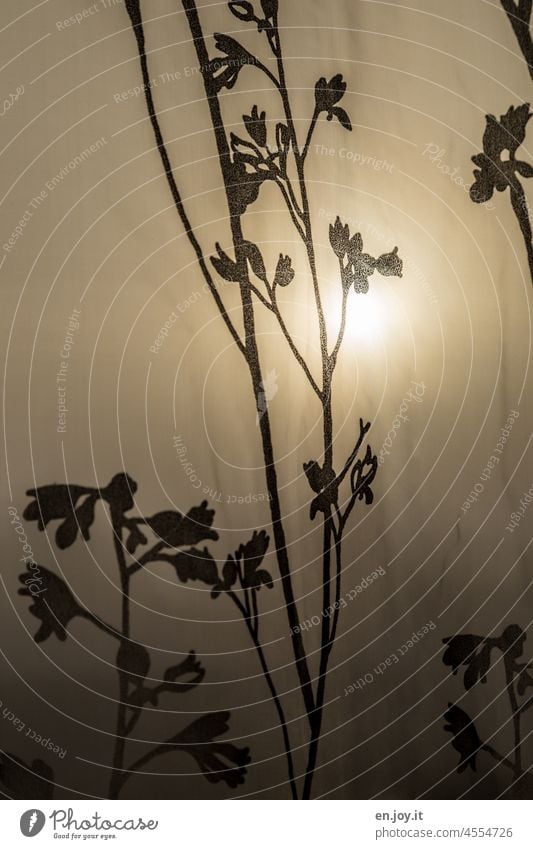 Sonne im Nebel hinter Vorhang Blumenmuster durchsichtig trauer Stoff Gardine Licht Fenster Schatten Dekoration & Verzierung Falte Strukturen & Formen