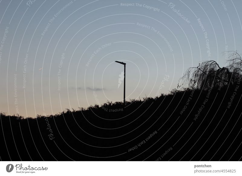 eine straßenlaterne hinter einer hecke bei dämmerung elektrizität landleben hinmel dunkelheit beleuchten Laterne Abend