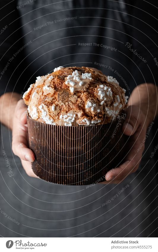 Panettone in der Hand des Erntekochs Koch Dessert Brot Lebensmittel Bäckerei gebacken geschmackvoll Gebäck Belag süß selbstgemacht manifestieren Kochen lecker