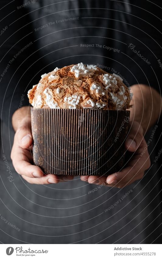 Panettone in der Hand des Erntekochs Koch Dessert Brot Lebensmittel Bäckerei gebacken geschmackvoll Gebäck Belag süß selbstgemacht manifestieren Kochen lecker