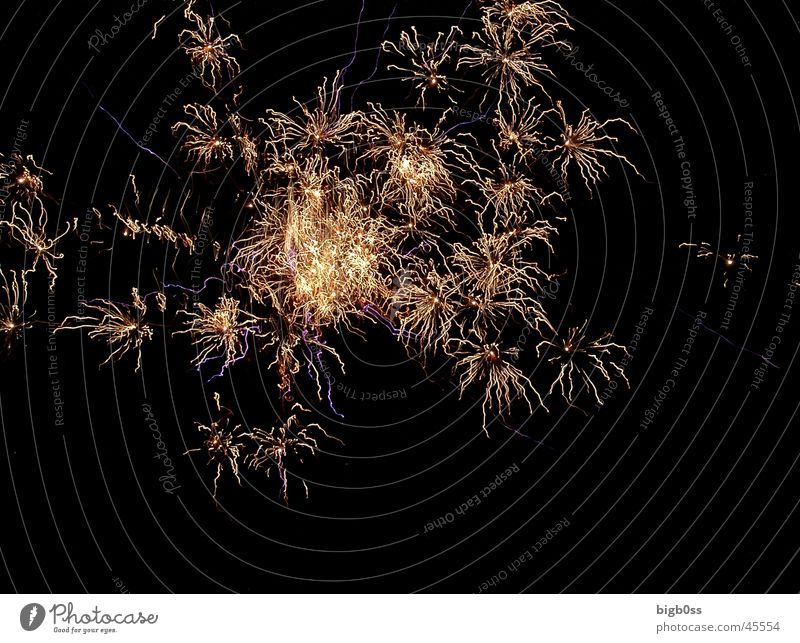 1. August Rakete Langzeitbelichtung Explosion Stil Feuerwerk bigb0ss