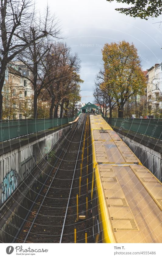 ausfahrt einer Untergrundbahn aus dem Tunnel in der Schönhauser Allee Herbst UBahn U2 Prenzlauer Berg Farbfoto Berlin Stadtzentrum Hauptstadt Außenaufnahme