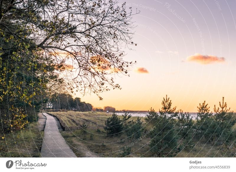 Spaziergang auf einem Ostseewanderweg in den Dünen Holzweg Dunes erste Bäume Himmel Wasser Natur Landschaft Strand Küste Außenaufnahme Farbfoto Meer Sand Wolken