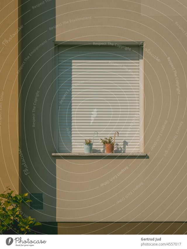 Fenster mit geschlossenen Rollladen und Blumentöpfen an beiger Fassade Licht Sommer Schatten Haus Wand Mauer Außenaufnahme Menschenleer Tag Farbfoto Sonnenlicht