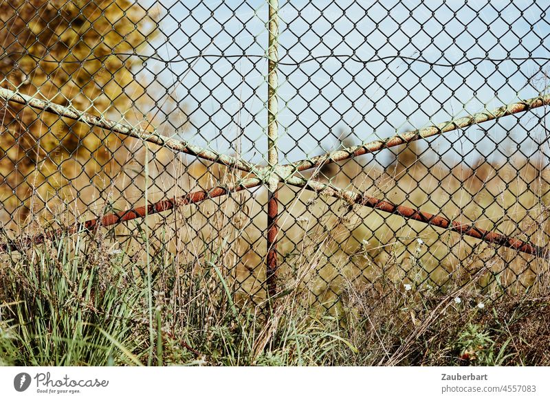 Tor zu einer Weide mit Maschendraht versperrt den Durchgang Stangen Zaun Maschendrahtzaun Gras Wiese verrostet grün lindgrün verboten öffnen Landwirtschaft