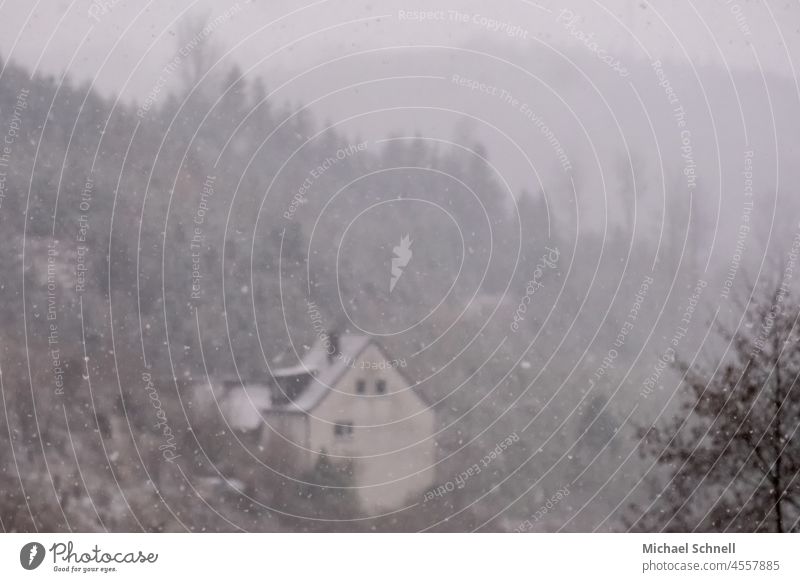 Schneefall Blick ins Tal Wintereinbruch Winterstimmung kalt Wintertag winterlich Wetter Kälte weiß frieren Dezember Landschaft