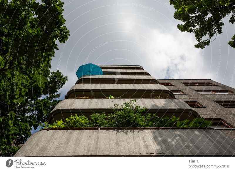 Blick nach oben an einer Plattenbaufassade wedding Balkon Sonnenschirm Sommer Sonnenlicht Außenaufnahme Himmel Farbfoto Menschenleer Schönes Wetter Fenster Haus