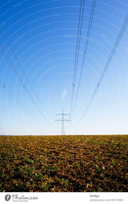 Hochspannungsleitung mit Strommast auf einem Feld. Stromtrasse Energiewirtschaft Stromtransport Stromversorgung Überlandleitung Hochspannungsmast Wiese Horizont