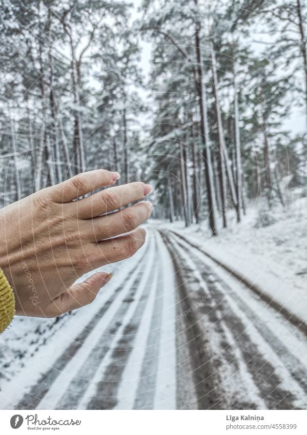 Hand in einer Winterlandschaft Winterstimmung Schnee Wintertag Schneefall Landschaft Winterwald weiß Natur kalt Schneelandschaft Schneedecke Außenaufnahme Wald