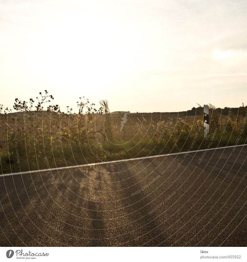 Gegenlicht Sonne Himmel Pflanze Gras Grünpflanze Verkehrswege Straßenverkehr leuchten Trennung Wege & Pfade Asphalt Linie Begrenzung Randbereich Farbfoto