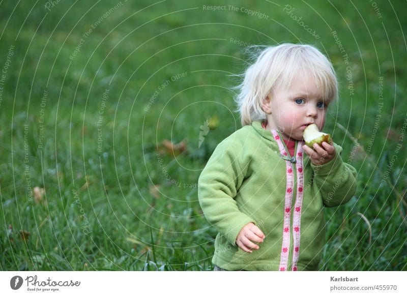 Apfel Bäumchen Lebensmittel Frucht Ernährung Essen Bioprodukte Vegetarische Ernährung Gesundheit Gesunde Ernährung Erntedankfest Kindererziehung Bildung