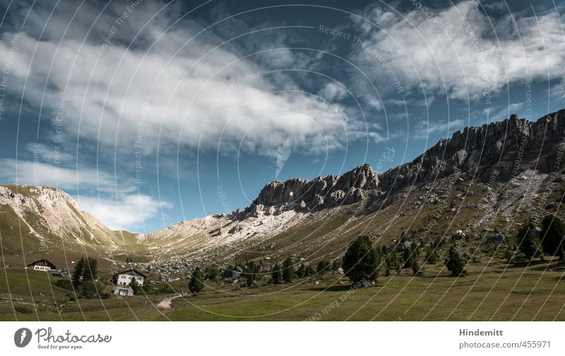 Gampenalm Ferien & Urlaub & Reisen Tourismus Ausflug Umwelt Natur Himmel Wolken Sommer Schönes Wetter Baum Gras Wald Hügel Felsen Alpen Berge u. Gebirge Gipfel