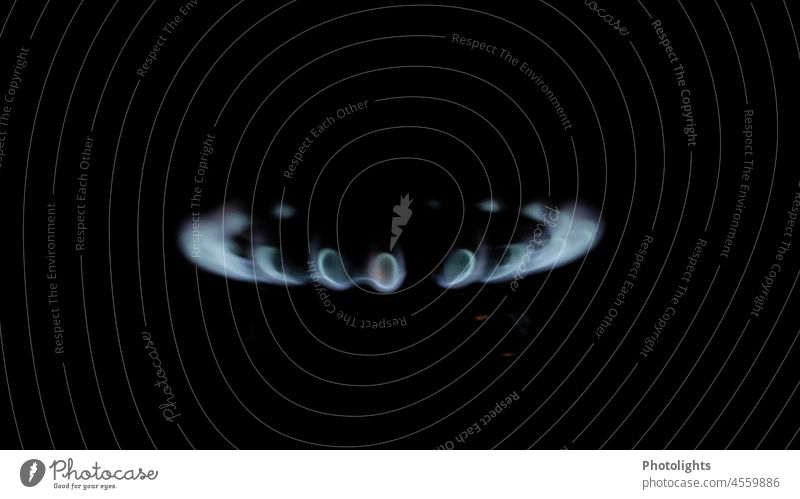 Spiel mit dem Feuer. Nahaufnahme von blauem Feuer. Gaskocher mit brennenden Flammen Herd Gasherd Propangas Herd & Backofen Wärme Küche heiß Innenaufnahme