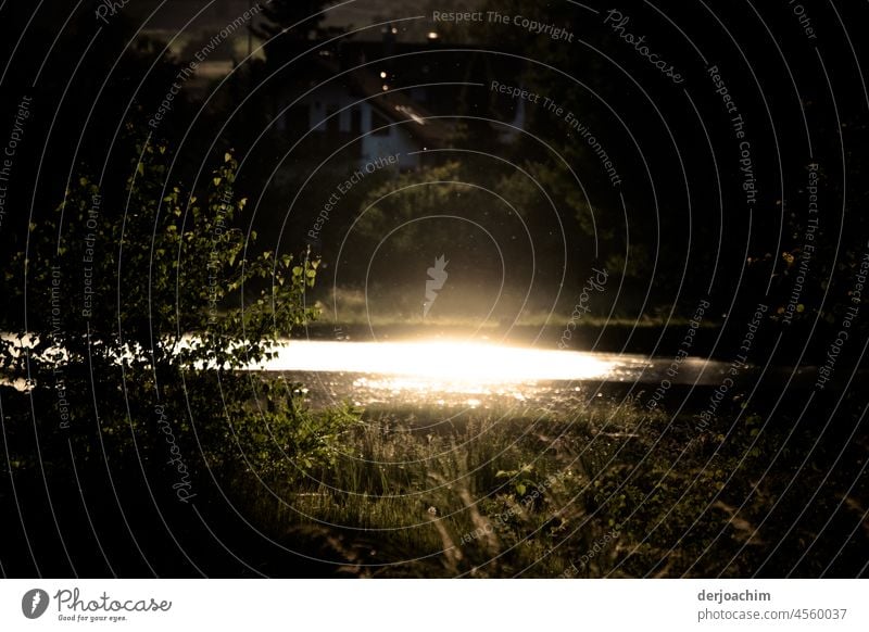 Die Mittagssonne scheint auf einen Karpfenweiher. Das Randgebiet  Gelände liegt im Schatten. Weiher Wasser Teich Natur Außenaufnahme Idylle Umwelt Landschaft