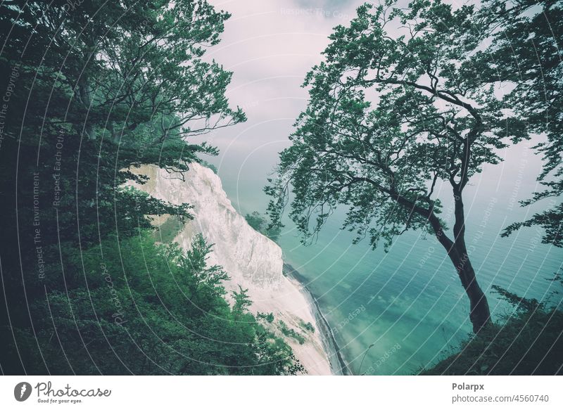 Baum auf dem Gipfel einer Klippe Tapete sich[Akk] entspannen Nizza Stein Windstille Hügel Horizont im Freien Sonnenuntergang besuchen malerisch Meer Wasser