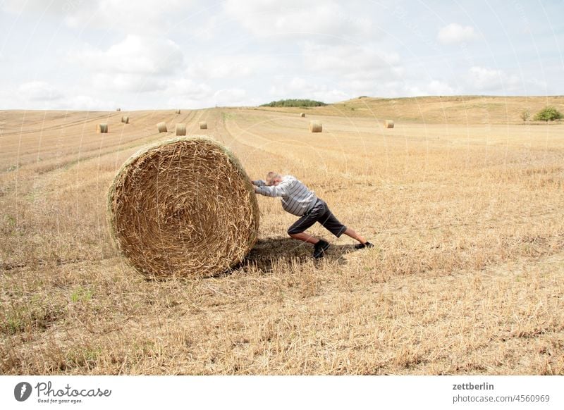 Strohballen Feld Ernte Landwirtschaft Himmel Sommer Landschaft Natur Außenaufnahme Getreide Schönes Wetter Umwelt Nutzpflanze Tag Ackerbau Horizont Getreidefeld