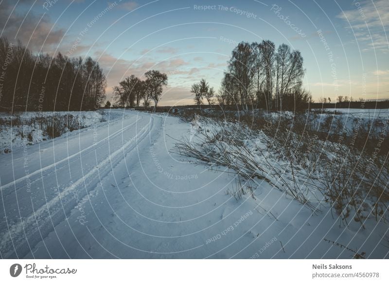 Eine Straße führt an einem frostigen Morgen in den schneebedeckten Winterwald. Fluss entlang der Straße. Hintergrund schön Schönheit blau Ast hell Weihnachten