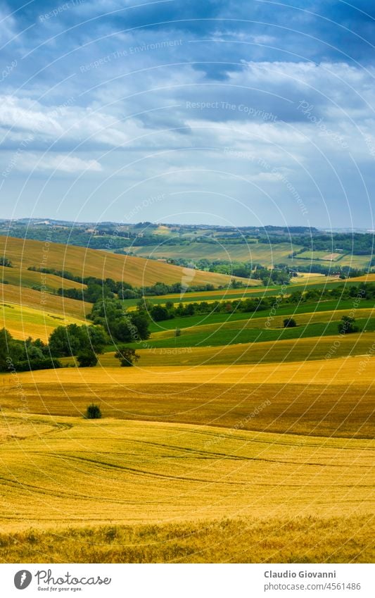 Ländliche Landschaft bei Santa maria Nuova und Osimo, Marken, Italien ancona Europa Marche Santa Maria Nuova Ackerbau Farbe Tag Bauernhof Feld grün Hügel Natur