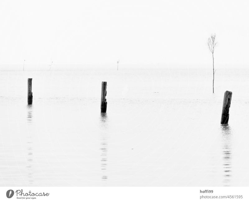 Holzpfähle und Pricken einer Fahrrinne am Meer Siele Nordsee Küste Minimalismus Hafeneinfahrt Nationalpark Menschenleer Wattenmeer Pfahl Naturschutzgebiet