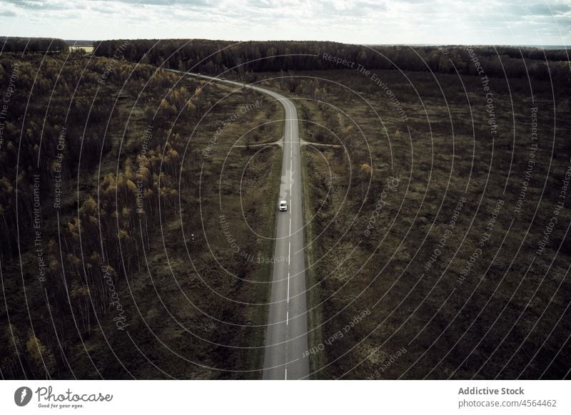 Auto fährt auf der Straße zwischen Bäumen Fahrbahn Baum Natur Feld Wiese Autobahn PKW Laufwerk Hain Fernstraße Automobil Verkehr Fahrzeug Umwelt malerisch