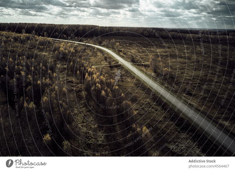 Straße zwischen Feldern mit Bäumen Fahrbahn Baum Natur Wiese Autobahn Pflanze Fernstraße Hain Umwelt malerisch natürlich Gras Speedway Weg wild eng Szene Flora