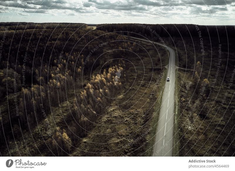 Auto fährt auf der Straße zwischen Bäumen Fahrbahn Baum Natur Feld Wiese Autobahn PKW Laufwerk Hain Fernstraße Automobil Verkehr Fahrzeug Umwelt malerisch