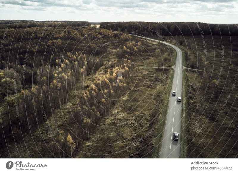 Autos fahren auf der Straße zwischen Bäumen Fahrbahn Baum Natur Feld Wiese Autobahn PKW Laufwerk Hain Fernstraße Automobil Verkehr Fahrzeug Umwelt malerisch